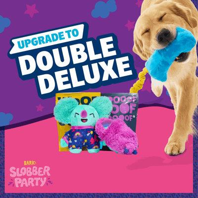 BarkBox Double Deluxe Upgrade