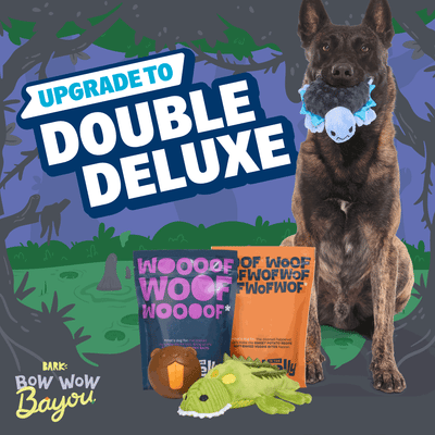 Combo Double Deluxe Upgrade