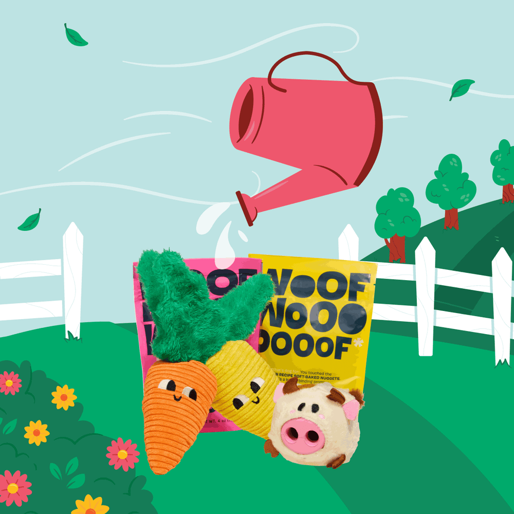 Combo Box Double Deluxe Toys & Treats Upgrade – BARK