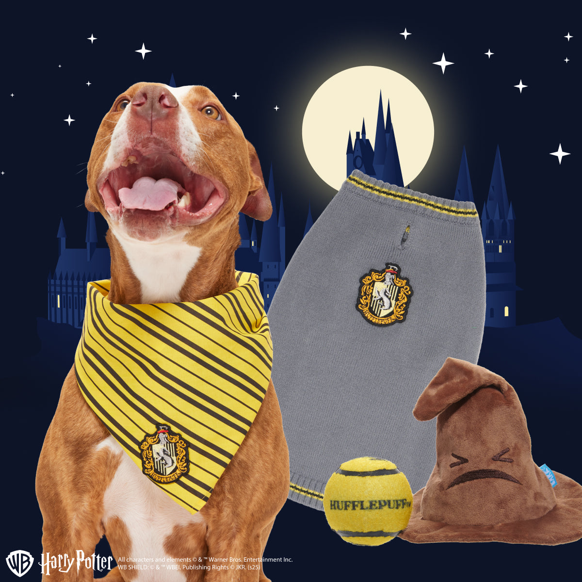Hufflepuff™ Bundle