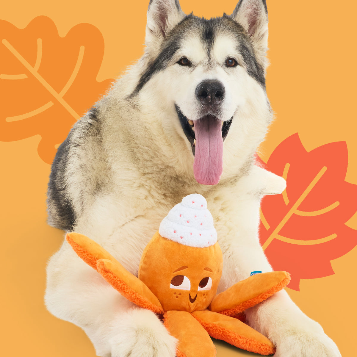 Bark Puppy In A Burrito Toy BARK Plush Dog Toy 211412 At