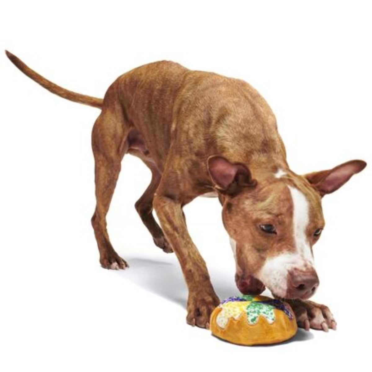 Mardi Paws King Cake