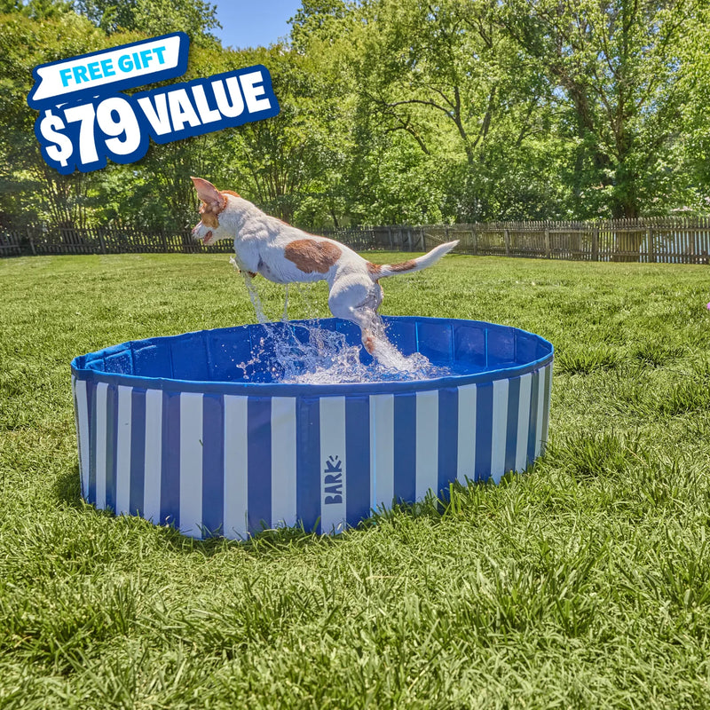 Summer fun with a free pool or splash pad!