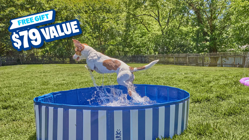 Summer fun with a free pool or splash pad!
