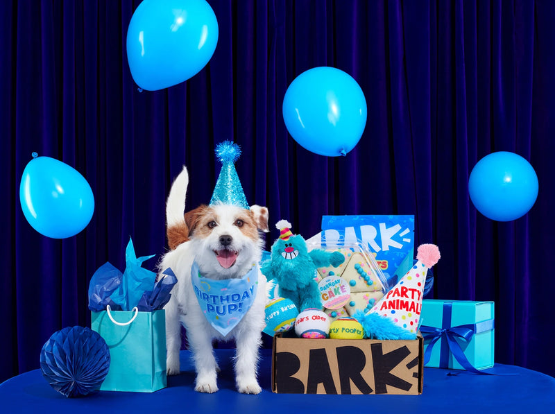 Dog Joy Delivered Every Month