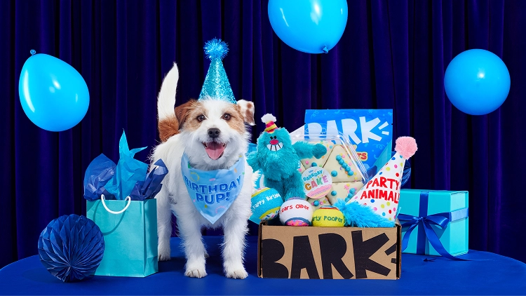 Dog Joy Delivered Every Month