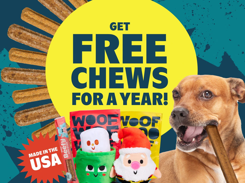 Dog Joy Delivered Every Month