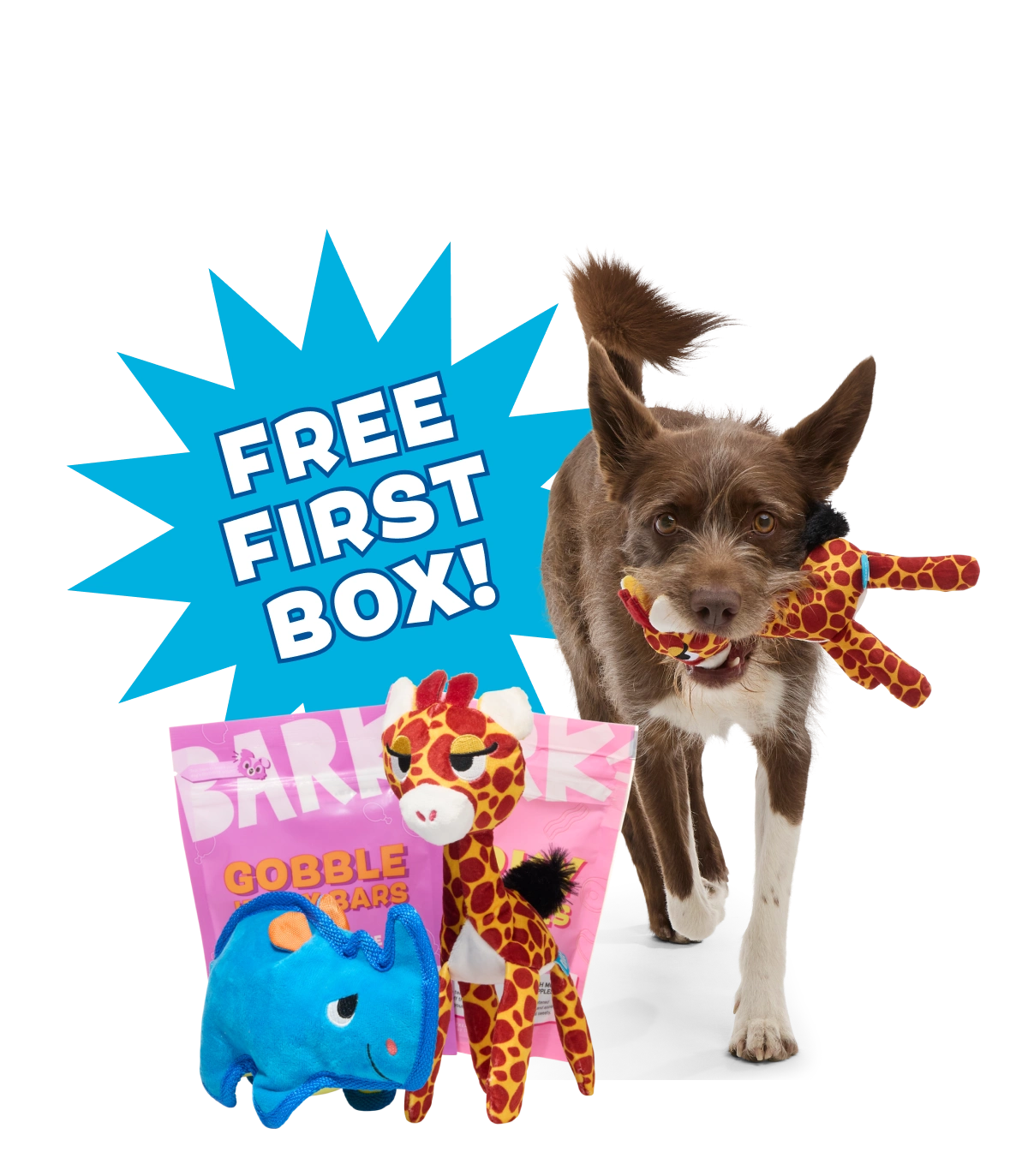 PIÑATA EXCLUSIVE: FREE FIRST BOX