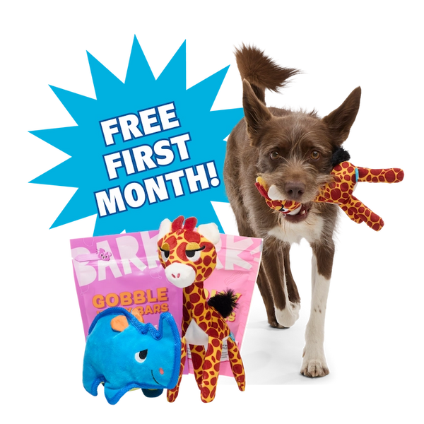 Free First Month!