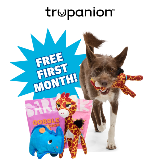 Free First Month!