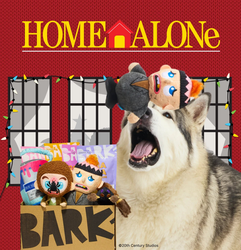 Dog Joy  Delivered  Every Month