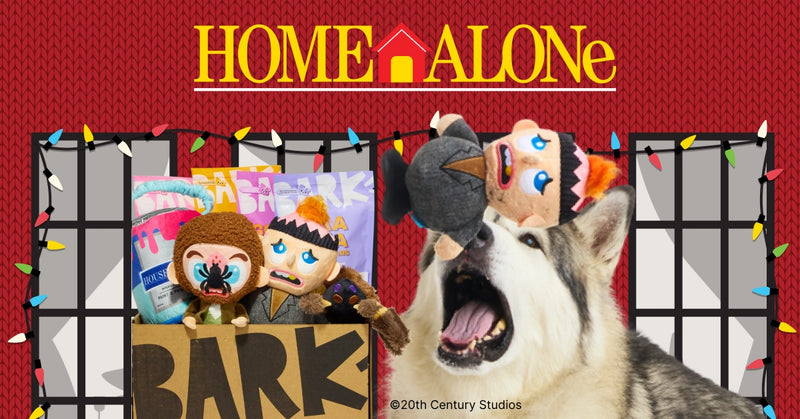 Dog Joy  Delivered  Every Month