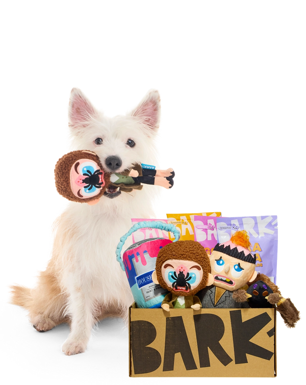 Twice the Toys, Treats, and Mischief