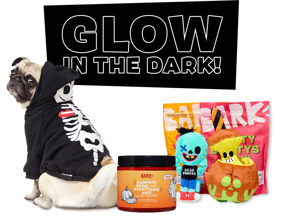 Lick or Treat In Style