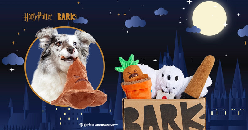 Dog Joy Delivered Every Month