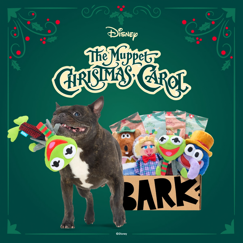 Dog Joy Delivered Every Month