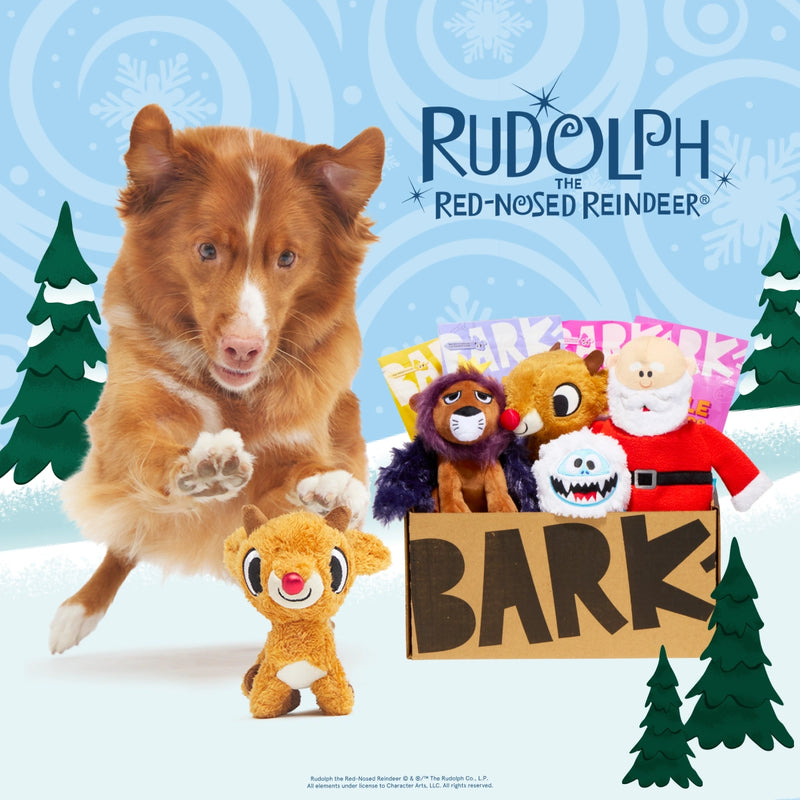 Barkbox Rudolph Robe Rudolph theme and free double deluxe upgrade on first box with 6 or 12 ...