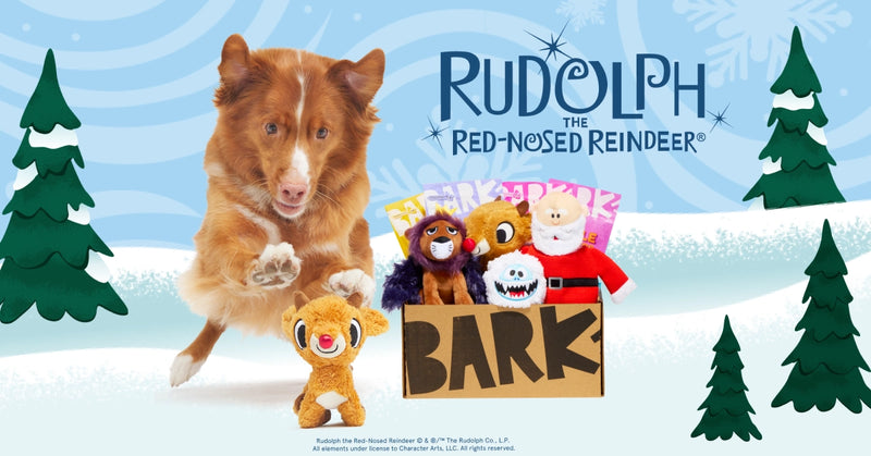 Barkbox Rudolph Robe Rudolph theme and free double deluxe upgrade on first box with 6 or 12 ...