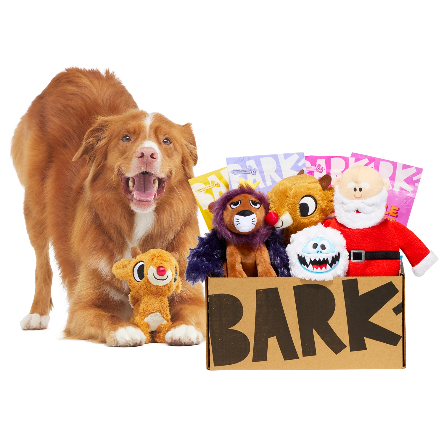 Don’t Bumble This Free Offer