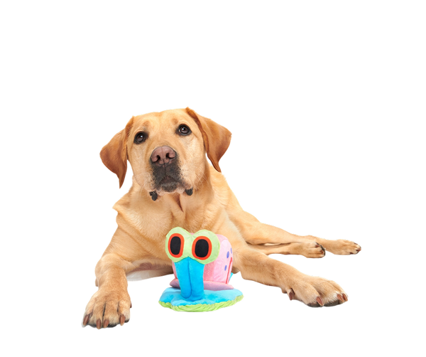 Are You Ready, Pups?!