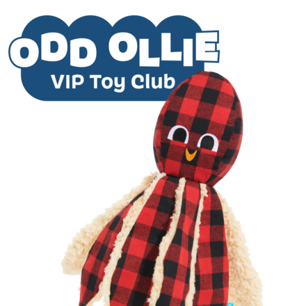 Odd Ollie VIP Toy Club