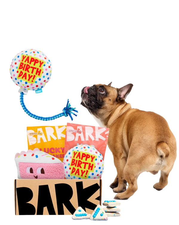 Celebrate Your Bestie!