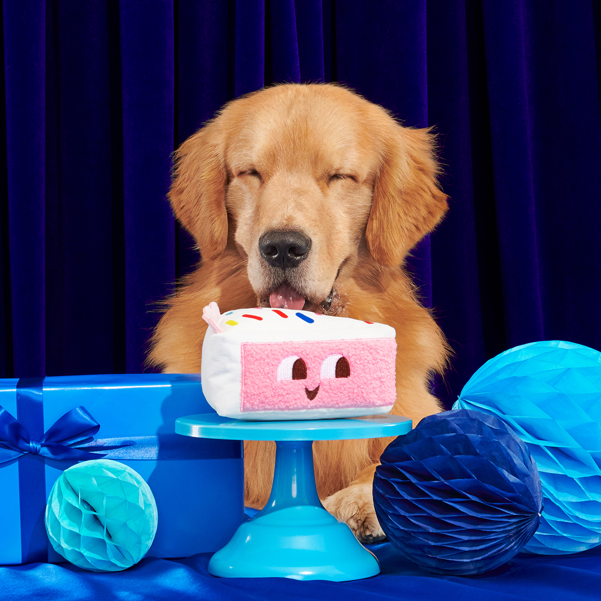 Birthday BarkBox (Toy-Only) - One Month Gift Box