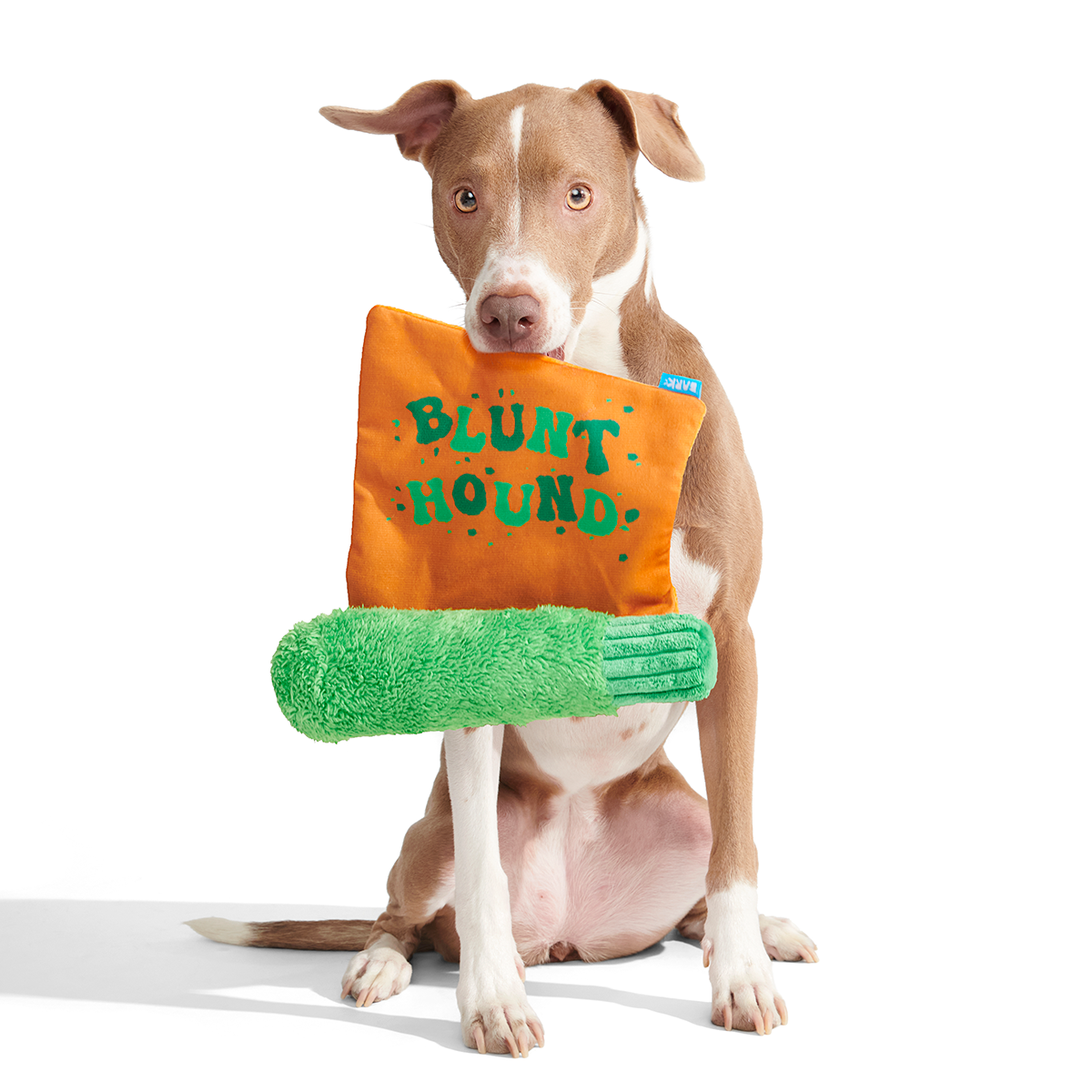 Bud Hounds BarkBox - One Month Gift Box