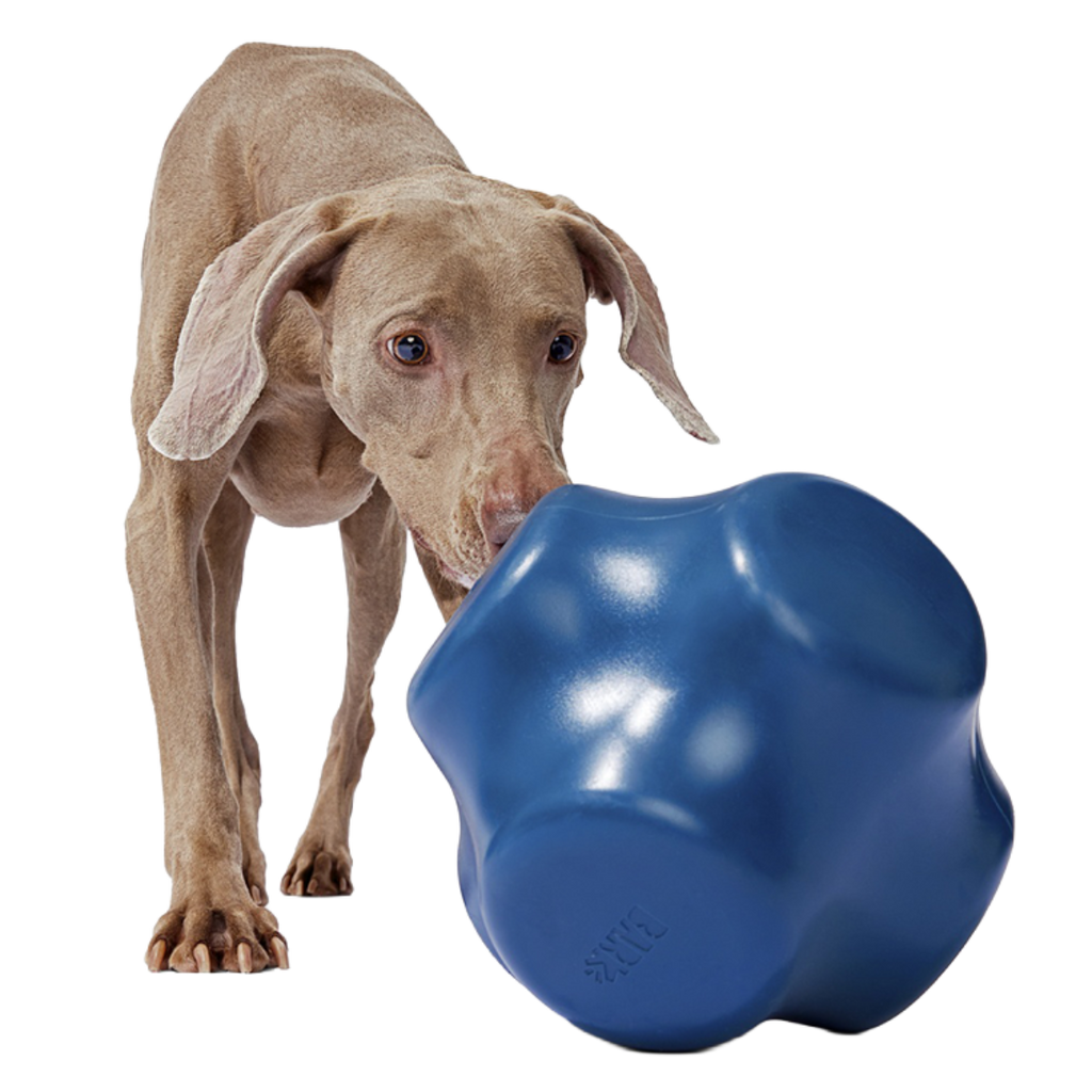Bolder Super Chewer Durable Extra-Large Enrichment Dog Toy – BARK