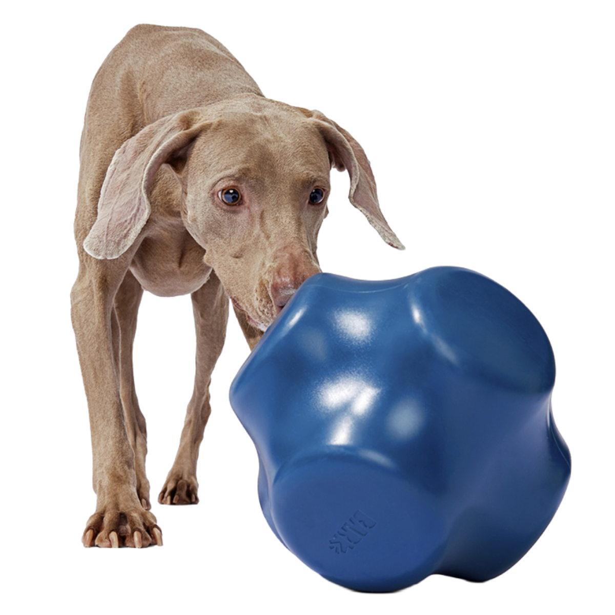 Bolder Super Chewer Durable Extra-Large Enrichment Dog Toy