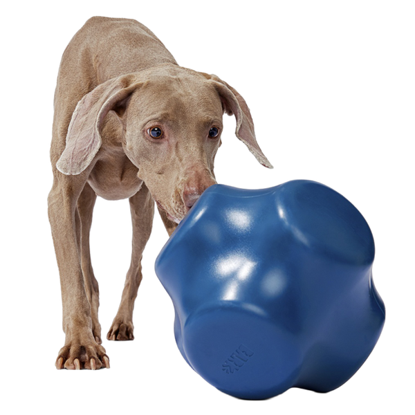 Bolder Super Chewer Durable Extra-Large Enrichment Dog Toy – BARK