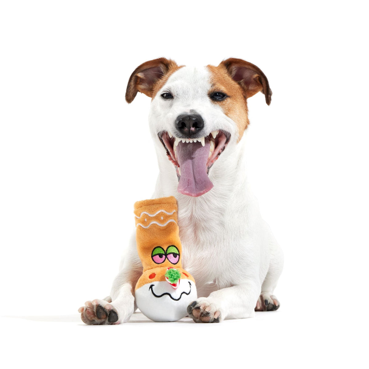 Gingerbong Plush Enrichment Dog Toy