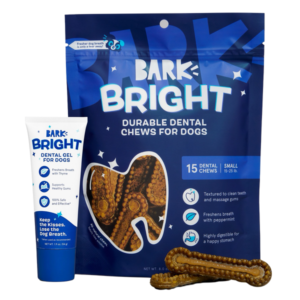 Bright Dental Care Kit for Dogs | BARK
