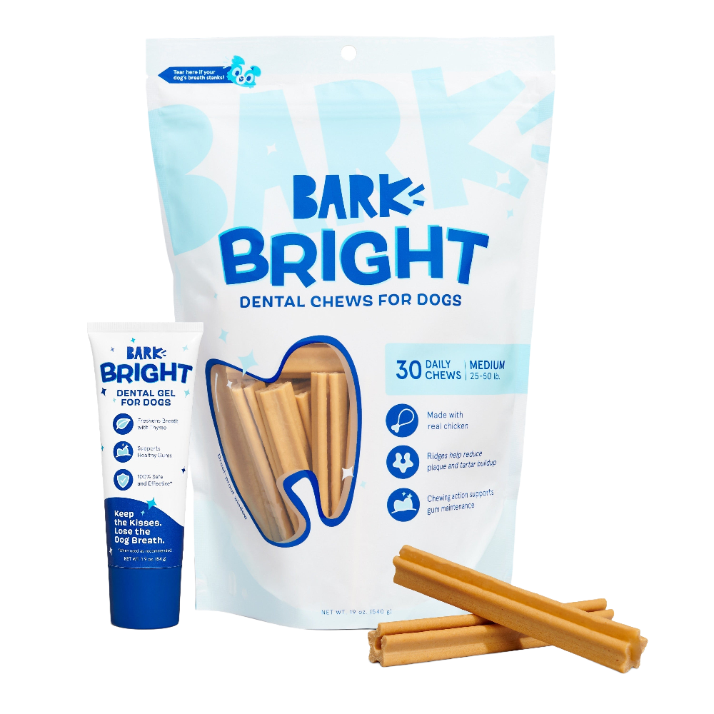 Bright Original Dental Kit