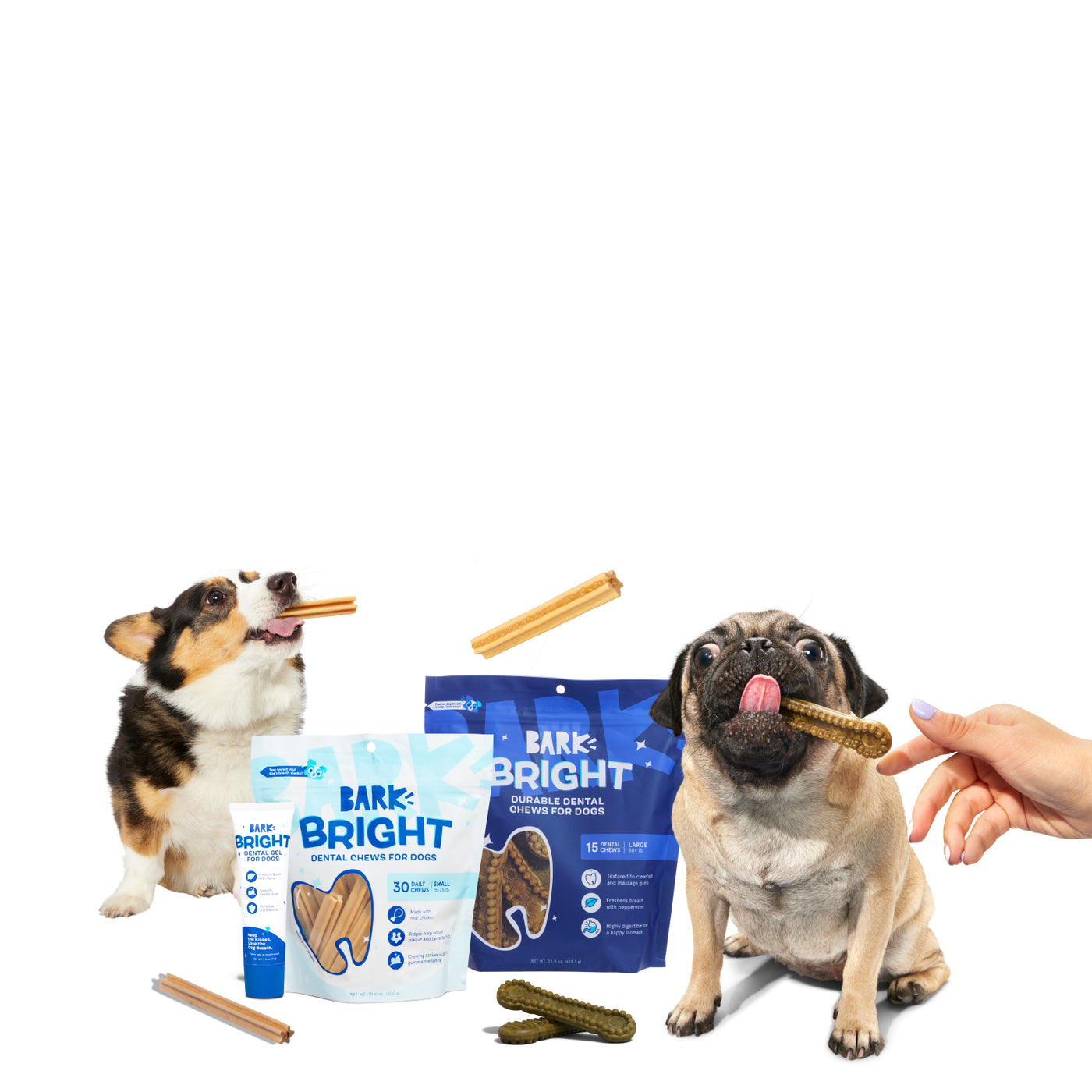 Kit de suscripción dental BarkBox BrightBites