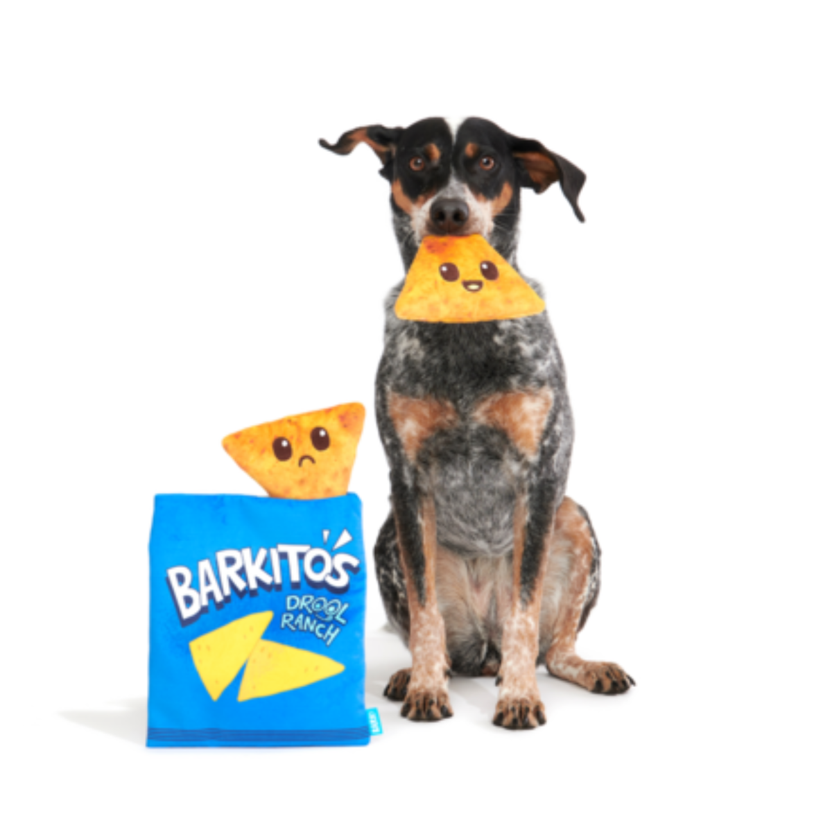 Drool Ranch Chips Plush Enrichment + Multi-Part Dog Toy