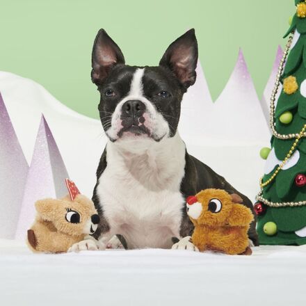 Rudolph® & Clarice™ Plush Multi-Part Dog Toy – BARK