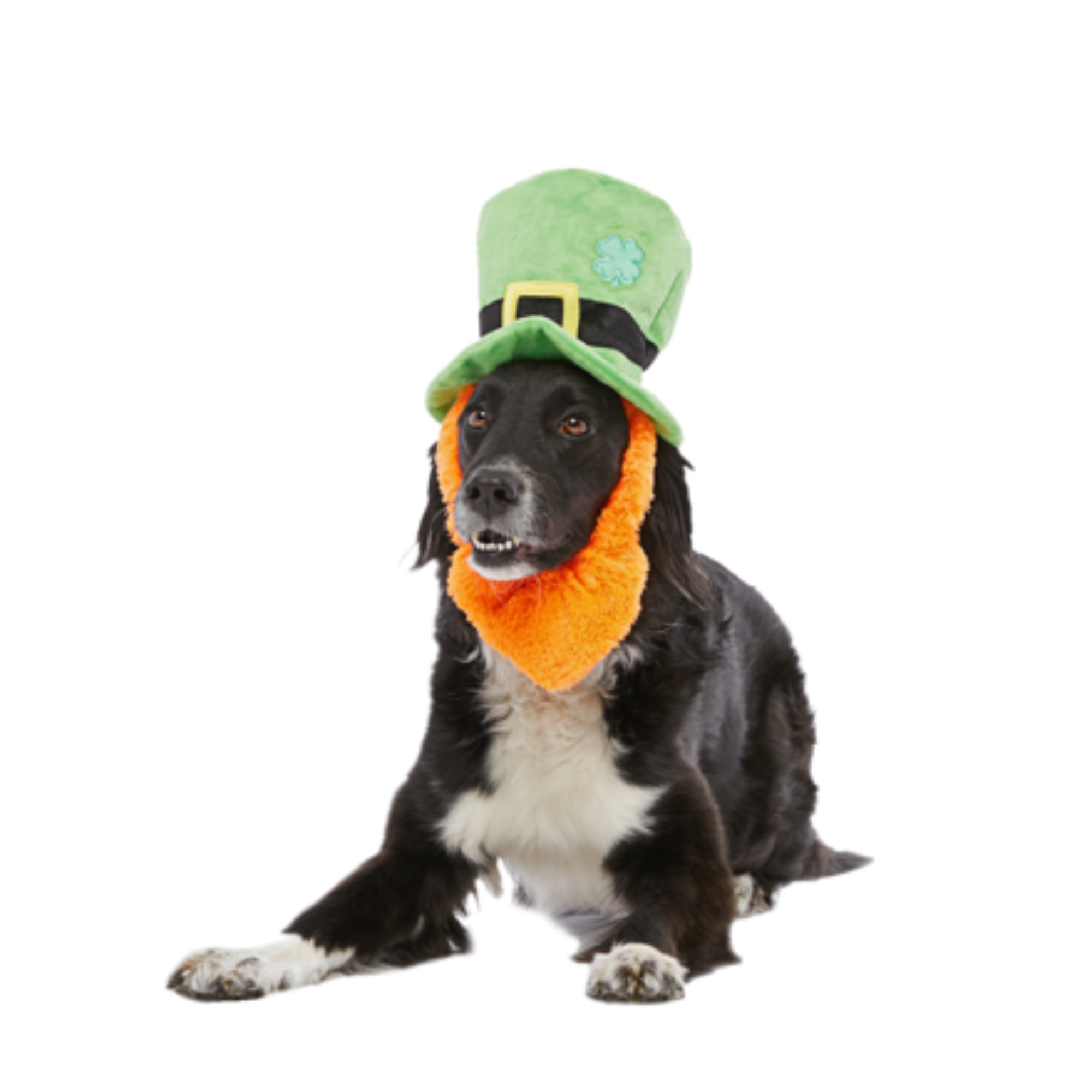 St. Pup's Lucky Hat