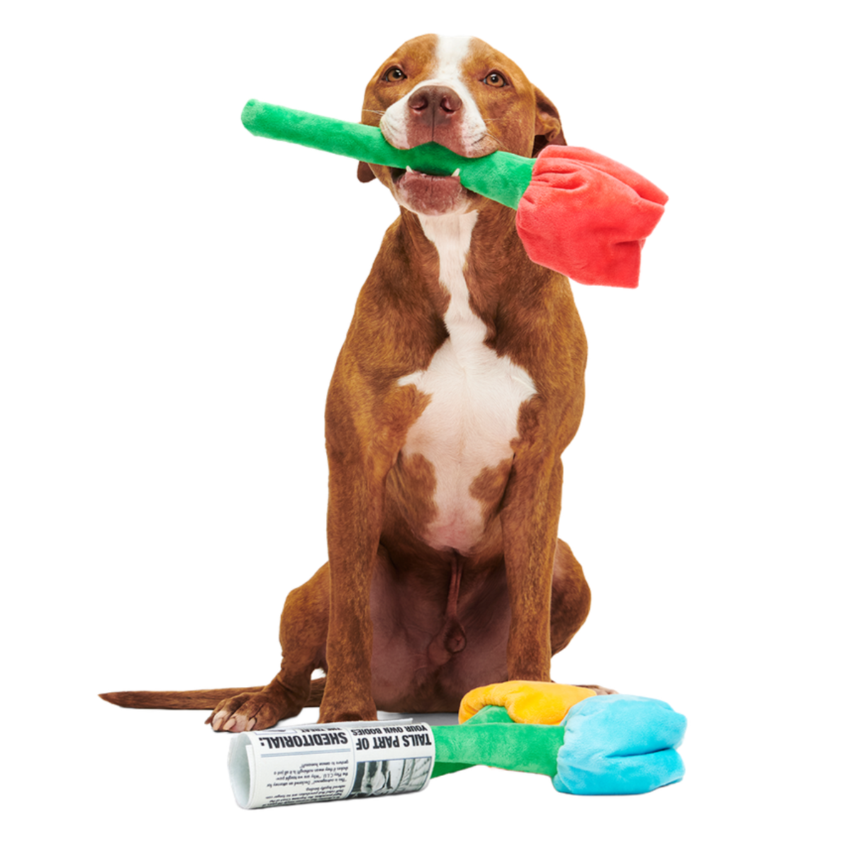 Cheer Up Boopquet Plush Tug + Multi-Part + Enrichment Dog Toy