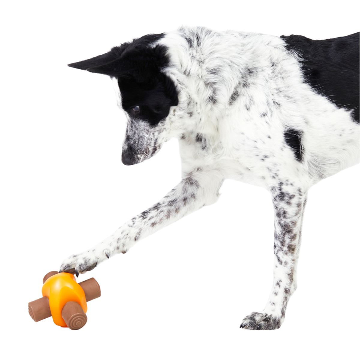 Chompfire Super Chewer Durable Gnaw Dog Toy