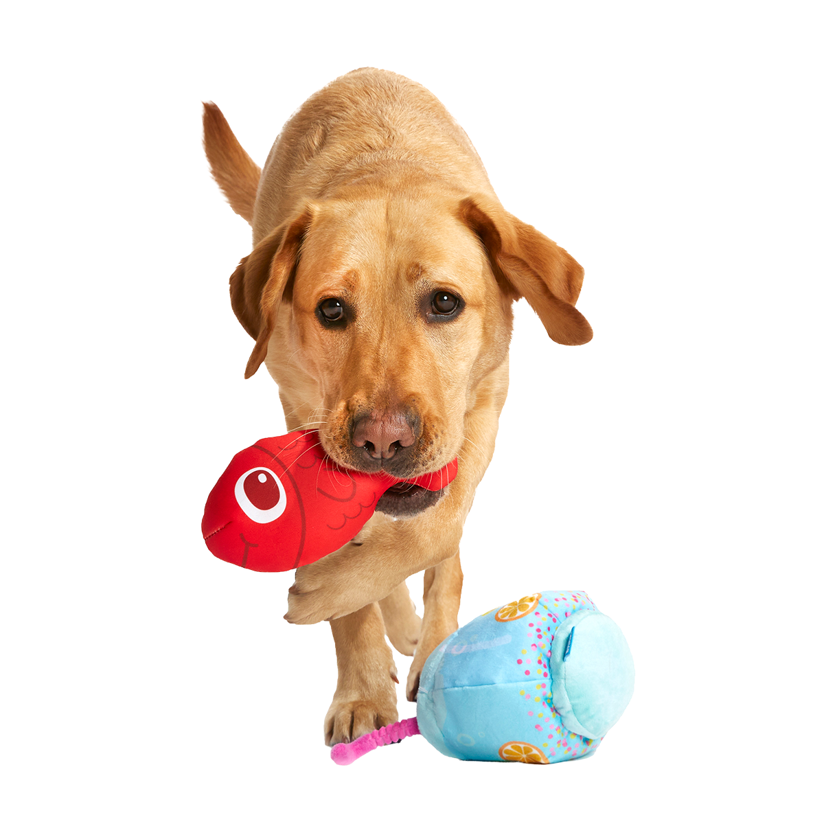 Cocktail Club, Plush Cocktail Monthly Dog Toys