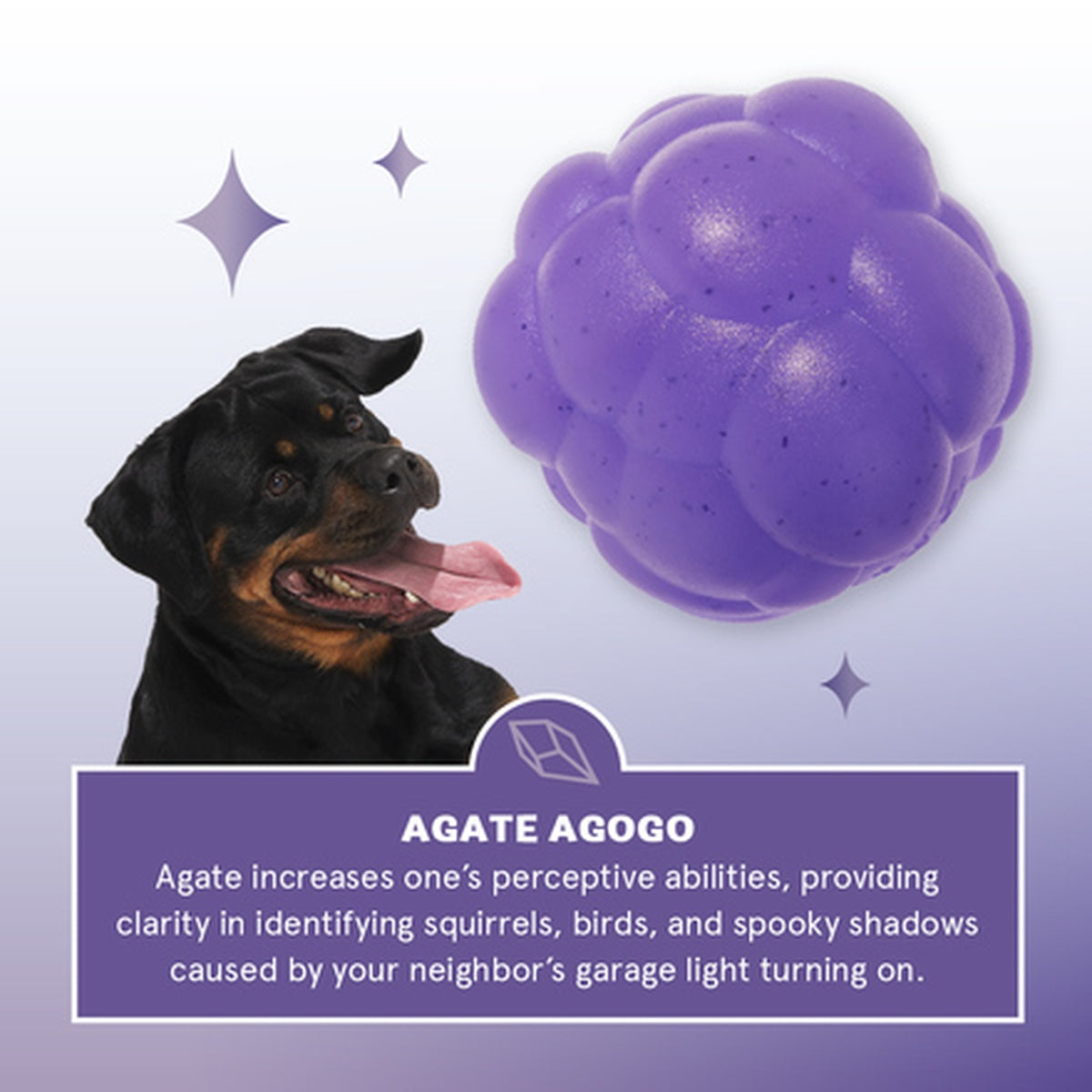 Crystal of the Month Club, Super Chewer Durable Monthly Dog Toys