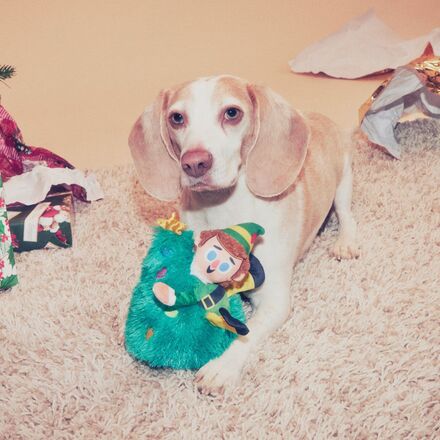 Tree Topper Buddy™