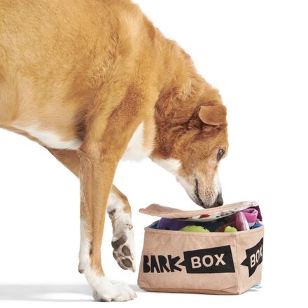 Fun Size BarkBox