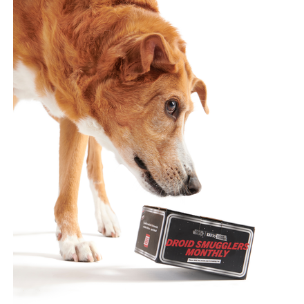 Star Wars™ Droid - Pit Droid