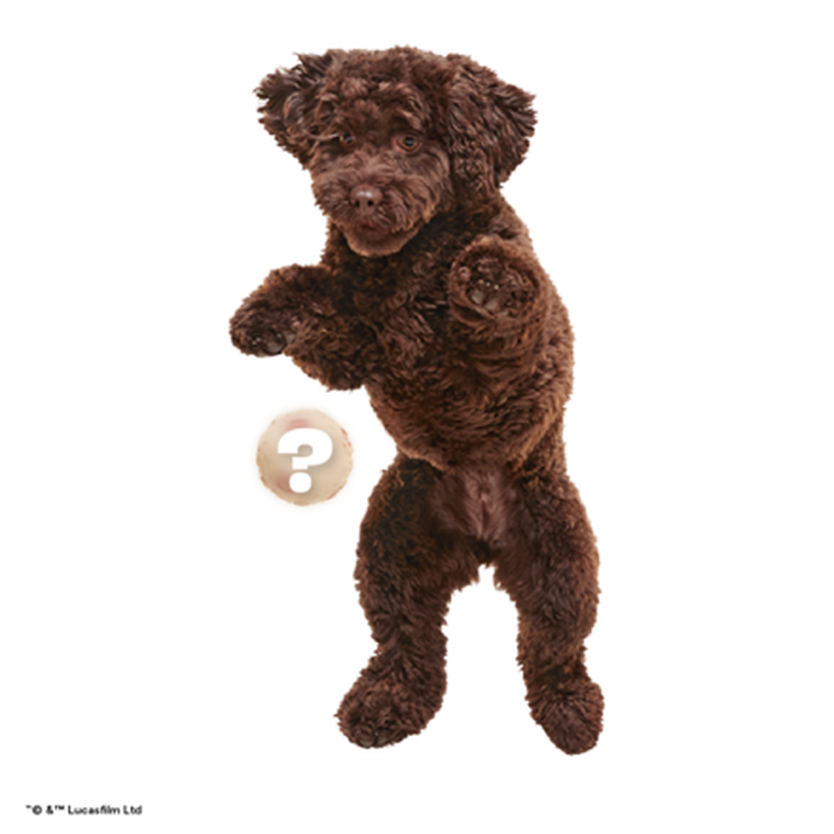 Star Wars™ Droid Smugglers Club, Super Chewer Durable Monthly Dog Toys