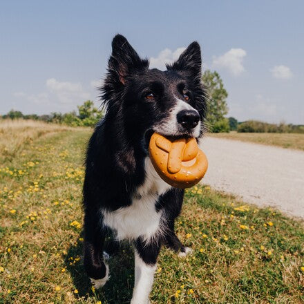 Barkvarian Pretzel