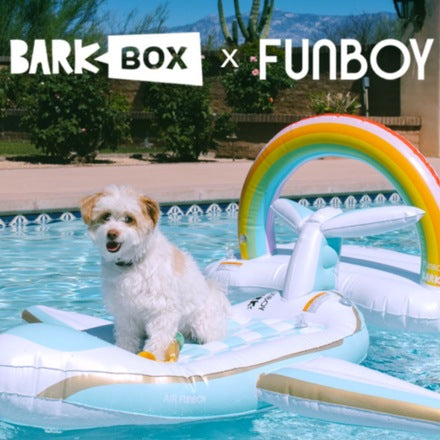 FUNBOY x Bark Private Jet Dog Float