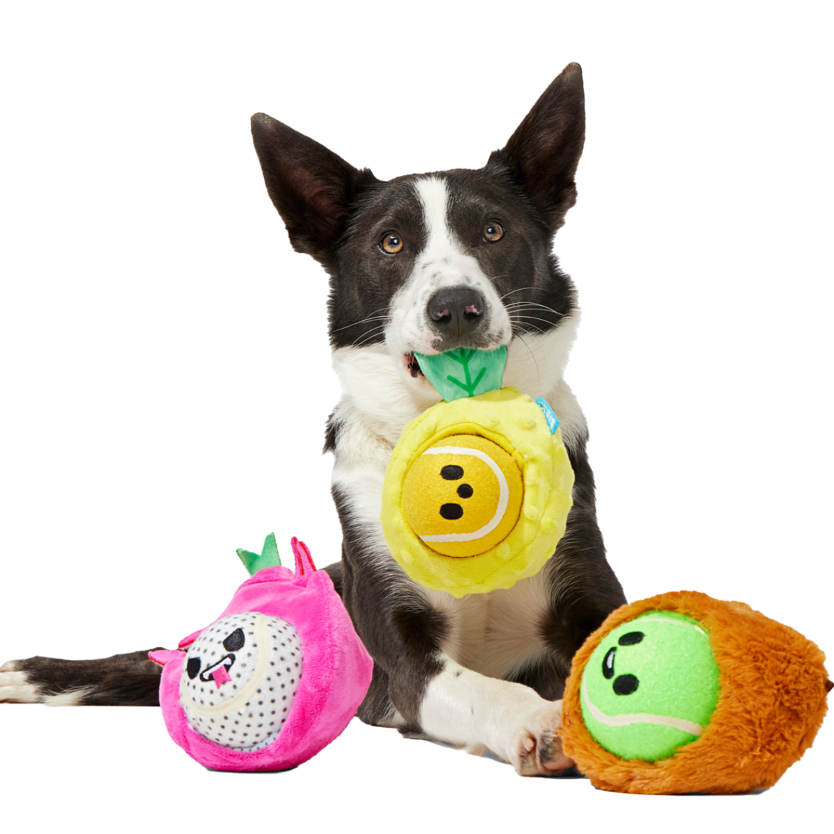 Fruity Cutie Tropical Trio Plush Multi-Part + Fetch Dog Toy