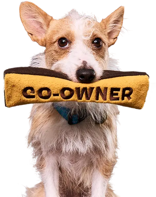 BARK is Now Co-Owned by Dogs